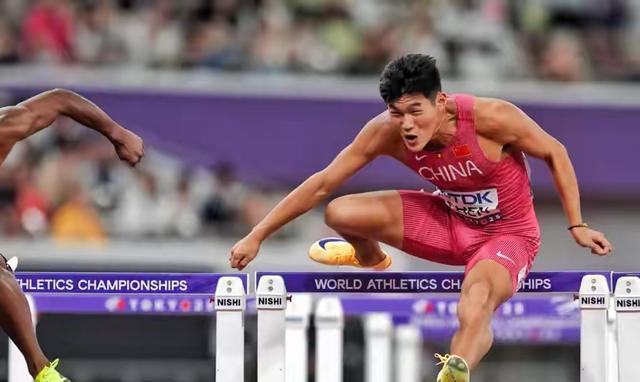 成为本届世, img, entit