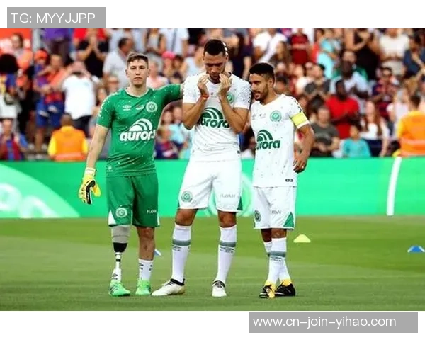 沙佩科恩斯与博塔弗戈对决前瞻分析及胜负预测